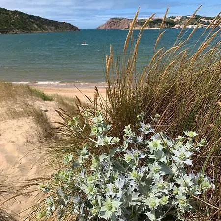 Bela Baia Salir de Porto