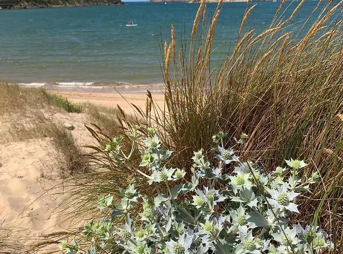 Bela Baia Salir de Porto